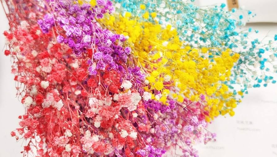 【小粒】かすみ草ドライフラワー✢カフェオレ かすみ草ドライフラワー✣ソフトブラウンアソート